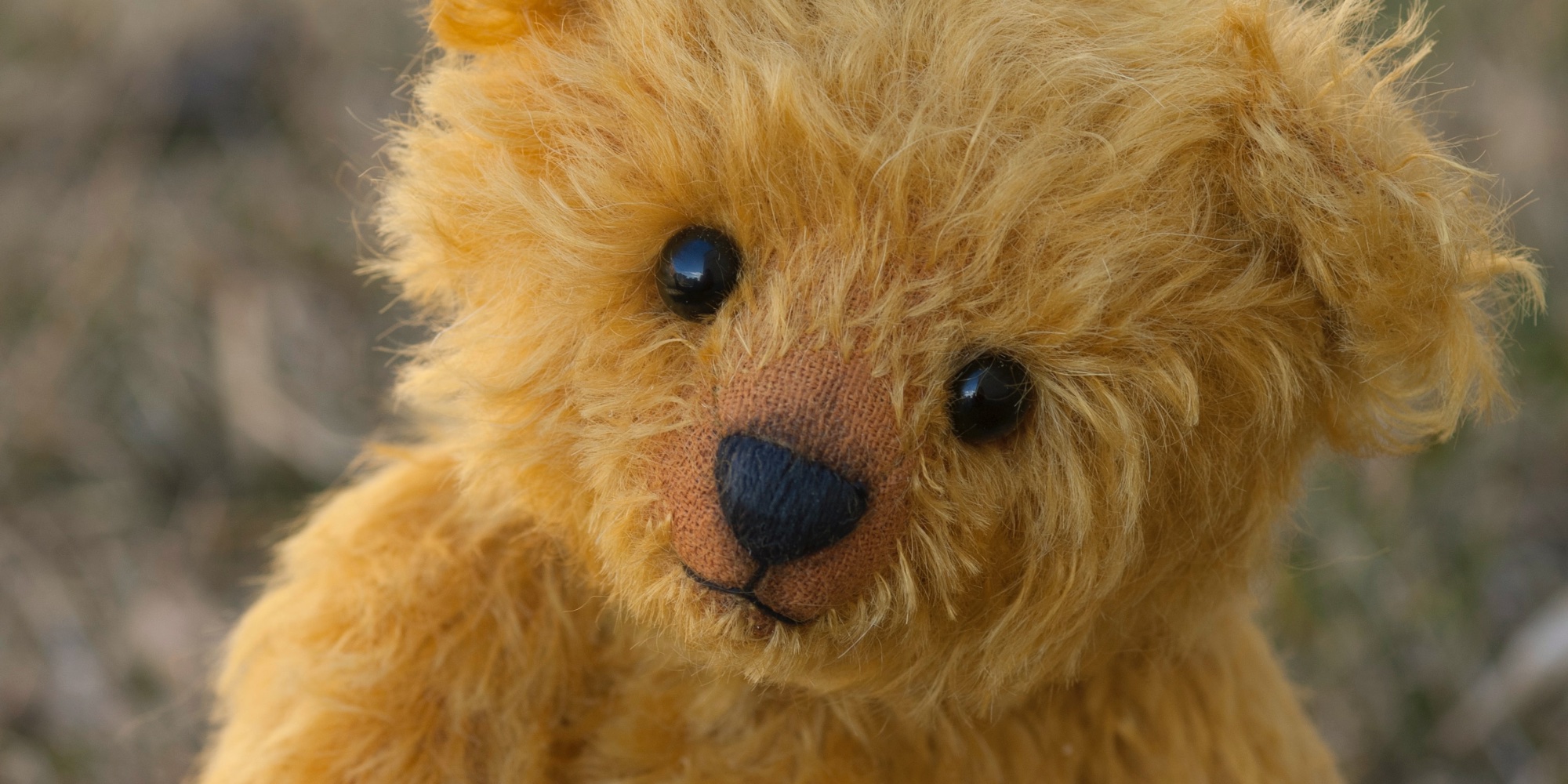 Photo by Oxana Lyashenko on Unsplash