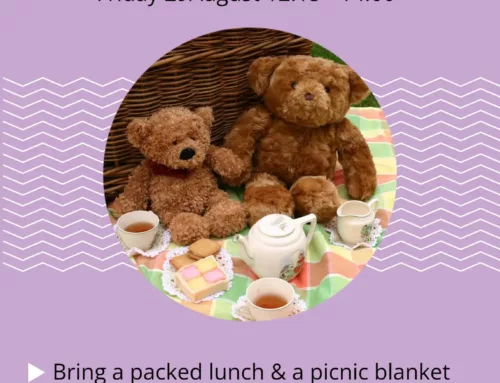 Teddy Bear Picnic Friday 29th August