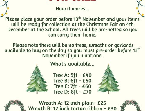 Christmas Tree, Wreath & Garland Orders