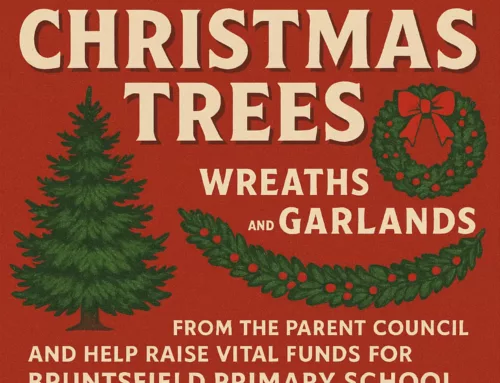 Christmas Tree, Wreath & Garland Orders